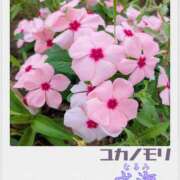 ヒメ日記 2025/08/10 00:00 投稿 成海（なるみ） ユカノモリ