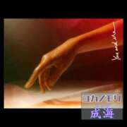 ヒメ日記 2025/08/16 13:07 投稿 成海（なるみ） ユカノモリ