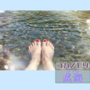 ヒメ日記 2025/08/19 14:45 投稿 成海（なるみ） ユカノモリ