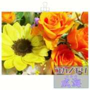 ヒメ日記 2025/08/22 14:22 投稿 成海（なるみ） ユカノモリ