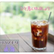 ヒメ日記 2025/08/30 15:48 投稿 成海（なるみ） ユカノモリ