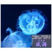 ヒメ日記 2025/09/01 13:26 投稿 成海（なるみ） ユカノモリ