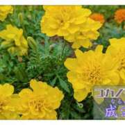 ヒメ日記 2025/09/10 14:10 投稿 成海（なるみ） ユカノモリ