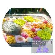 ヒメ日記 2025/09/22 23:34 投稿 成海（なるみ） ユカノモリ