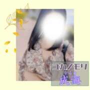 ヒメ日記 2025/09/29 14:47 投稿 成海（なるみ） ユカノモリ