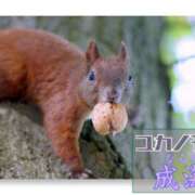 ヒメ日記 2025/09/30 14:54 投稿 成海（なるみ） ユカノモリ