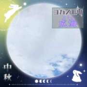 ヒメ日記 2025/10/06 15:05 投稿 成海（なるみ） ユカノモリ