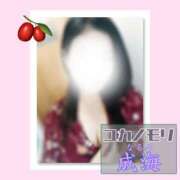 ヒメ日記 2025/10/08 13:49 投稿 成海（なるみ） ユカノモリ