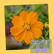 ヒメ日記 2025/10/10 14:28 投稿 成海（なるみ） ユカノモリ