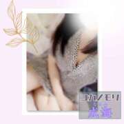 ヒメ日記 2025/10/17 14:01 投稿 成海（なるみ） ユカノモリ