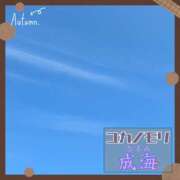 ヒメ日記 2025/11/08 13:49 投稿 成海（なるみ） ユカノモリ