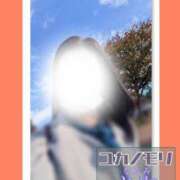 ヒメ日記 2025/11/12 13:53 投稿 成海（なるみ） ユカノモリ