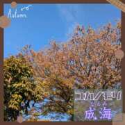 ヒメ日記 2025/11/21 14:29 投稿 成海（なるみ） ユカノモリ