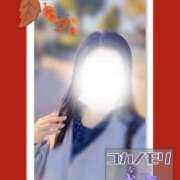 ヒメ日記 2025/11/22 13:47 投稿 成海（なるみ） ユカノモリ