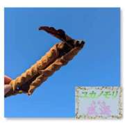 ヒメ日記 2025/11/26 14:21 投稿 成海（なるみ） ユカノモリ