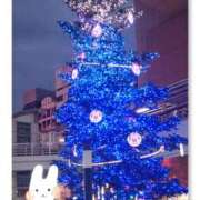 ヒメ日記 2025/11/27 09:48 投稿 成海（なるみ） ユカノモリ