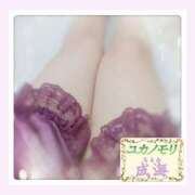 ヒメ日記 2025/11/29 09:50 投稿 成海（なるみ） ユカノモリ