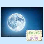 ヒメ日記 2025/12/06 01:49 投稿 成海（なるみ） ユカノモリ