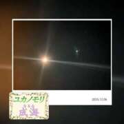 ヒメ日記 2025/12/06 12:20 投稿 成海（なるみ） ユカノモリ