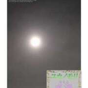 ヒメ日記 2025/12/09 01:03 投稿 成海（なるみ） ユカノモリ