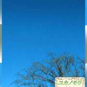 ヒメ日記 2025/12/15 14:02 投稿 成海（なるみ） ユカノモリ