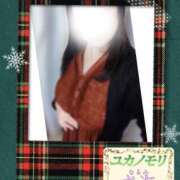 ヒメ日記 2025/12/16 15:37 投稿 成海（なるみ） ユカノモリ