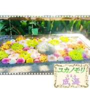 ヒメ日記 2026/01/13 14:01 投稿 成海（なるみ） ユカノモリ