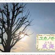 成海（なるみ） ㊙️合言葉㊙️ ユカノモリ