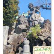 ヒメ日記 2026/01/30 14:58 投稿 成海（なるみ） ユカノモリ