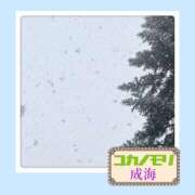 ヒメ日記 2026/02/07 16:09 投稿 成海（なるみ） ユカノモリ