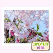 ヒメ日記 2026/02/21 14:52 投稿 成海（なるみ） ユカノモリ