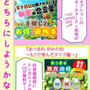 ヒメ日記 2026/02/28 14:24 投稿 成海（なるみ） ユカノモリ