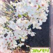 ヒメ日記 2026/03/30 15:19 投稿 成海（なるみ） ユカノモリ