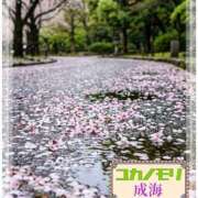 ヒメ日記 2026/03/31 15:17 投稿 成海（なるみ） ユカノモリ