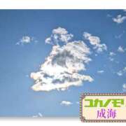 ヒメ日記 2026/04/02 16:11 投稿 成海（なるみ） ユカノモリ