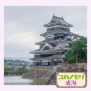 ヒメ日記 2026/04/06 15:11 投稿 成海（なるみ） ユカノモリ