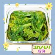 ヒメ日記 2026/04/17 02:47 投稿 成海（なるみ） ユカノモリ