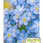 ヒメ日記 2026/04/18 17:01 投稿 成海（なるみ） ユカノモリ