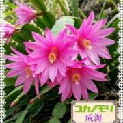 ヒメ日記 2026/04/22 14:22 投稿 成海（なるみ） ユカノモリ