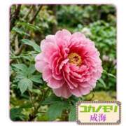 ヒメ日記 2026/04/23 15:23 投稿 成海（なるみ） ユカノモリ