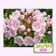 ヒメ日記 2026/04/27 14:07 投稿 成海（なるみ） ユカノモリ