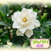 ヒメ日記 2026/04/29 14:30 投稿 成海（なるみ） ユカノモリ