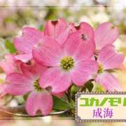 ヒメ日記 2026/05/04 14:13 投稿 成海（なるみ） ユカノモリ