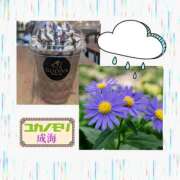ヒメ日記 2026/05/13 17:07 投稿 成海（なるみ） ユカノモリ