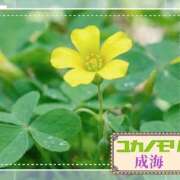 ヒメ日記 2026/05/20 16:38 投稿 成海（なるみ） ユカノモリ