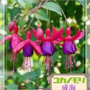 ヒメ日記 2026/05/22 16:37 投稿 成海（なるみ） ユカノモリ