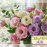 ヒメ日記 2026/05/29 14:49 投稿 成海（なるみ） ユカノモリ