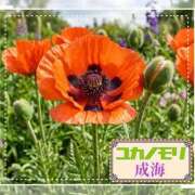 ヒメ日記 2026/05/30 14:47 投稿 成海（なるみ） ユカノモリ