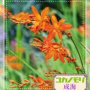 ヒメ日記 2026/06/05 14:32 投稿 成海（なるみ） ユカノモリ