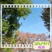 ヒメ日記 2026/10/07 15:29 投稿 成海（なるみ） ユカノモリ